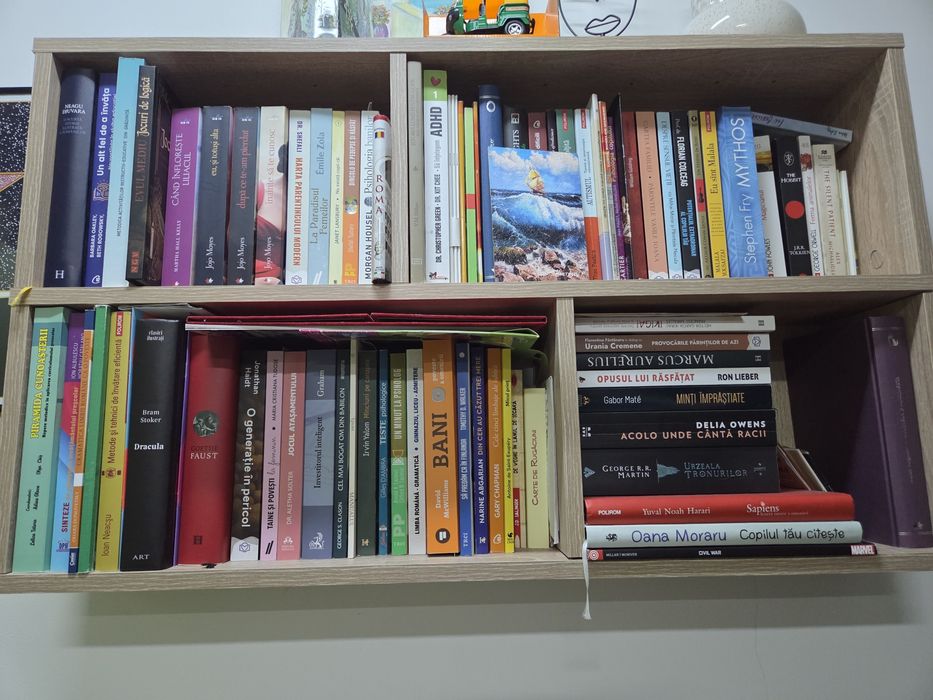 Corp bibliotecă solid