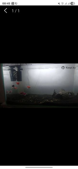 Аквариум 110 литров