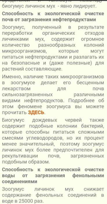 Қара сарбаз) ұрығы) яйца черной львинки