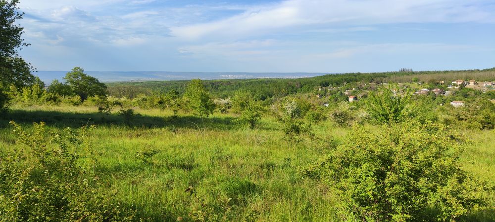 Дава се под наем Парцел в с. Бенковски, Област Варна - 5345 кв.м за 997.05 € - Снимка #4