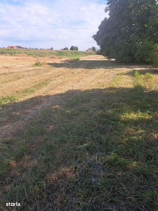 3 parcele de vanzare , zona Martinesti , 6 ARI parcela , 25.000 euro .