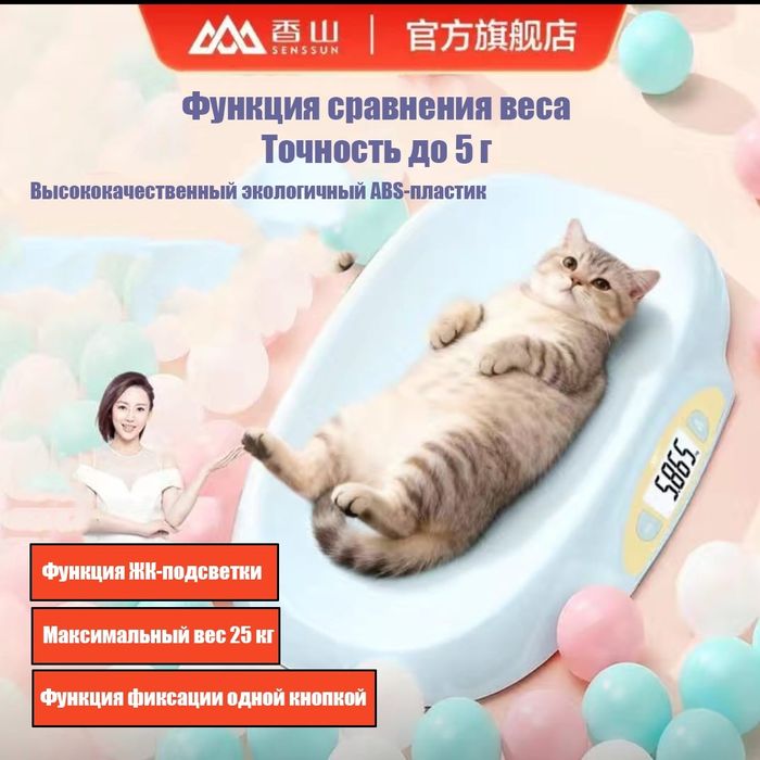 Электронные весы