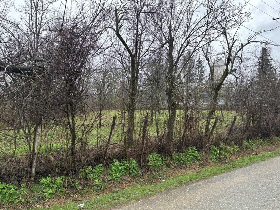 Titlu: Teren intravilan 1.000 mp, Sângeru (Prahova) – Zonă Centrală / Lângă Biserică