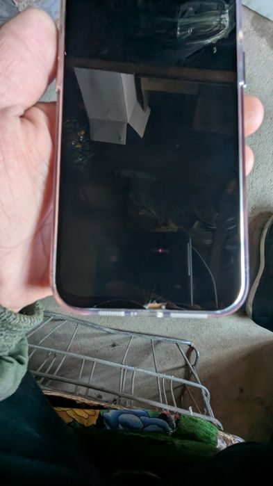 15 про Макс 256/100