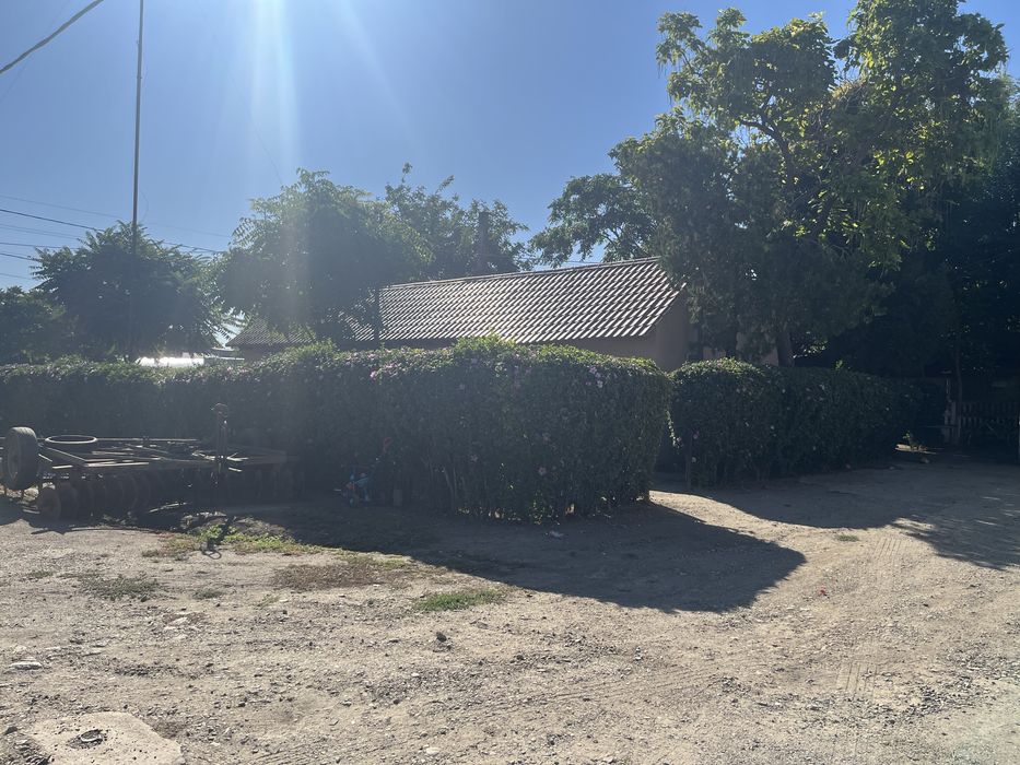 Vand moara de malai,siloz 200 t si magazii