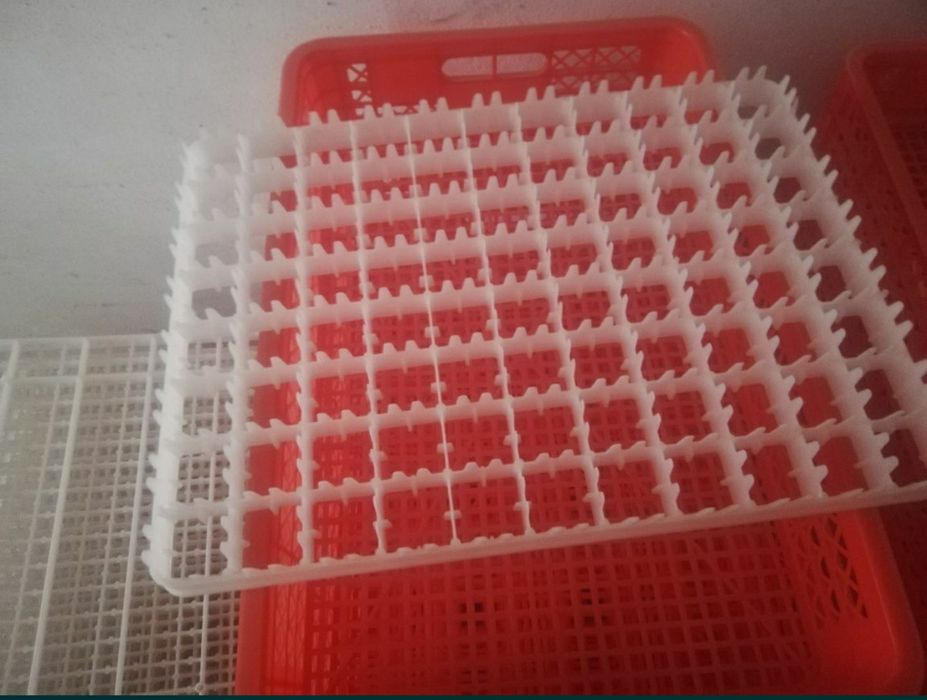 Инкубатон.inqubator