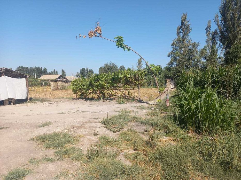 Үй сотилади шошилинч