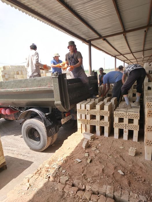 Gisht paltara termo gishlar
