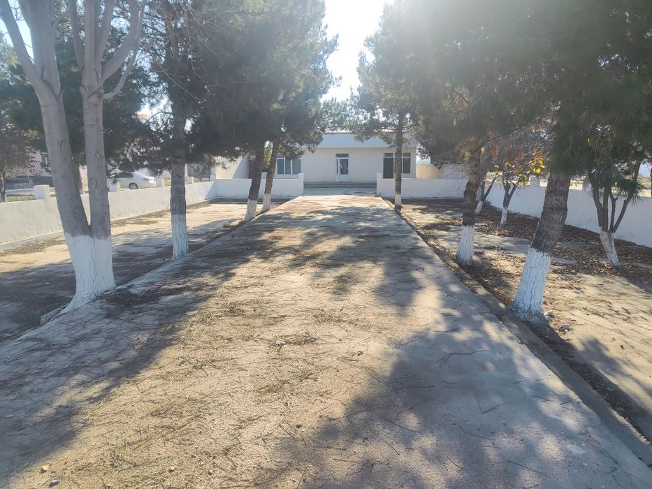 Eski shahar azamatda joylashgan yulni ustida styanka bor orqasida yer