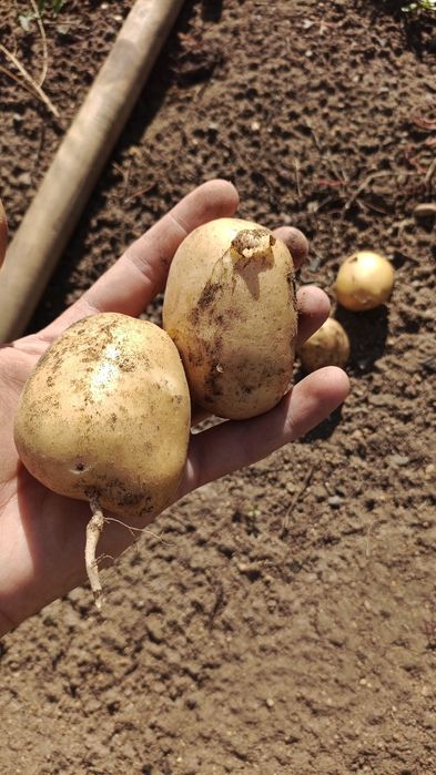 Продам Дачу за теплым каналом