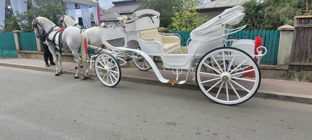 Caleasca regală de închiriat!