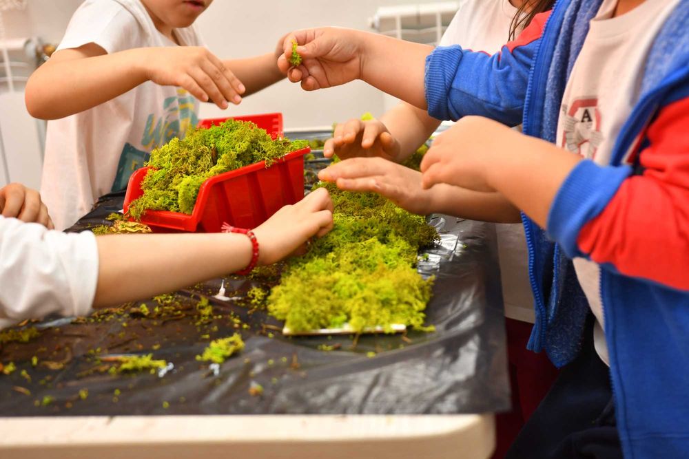 Licheni stabilizați decorativi – cutie 30×30 cm | 350 g