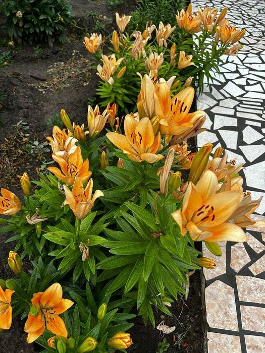 Продается 4 комнатный дом во 2 Костанае