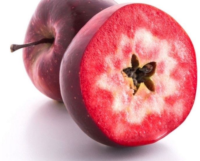 Pomi Fructiferi (Toate soiurile Deosebiți)