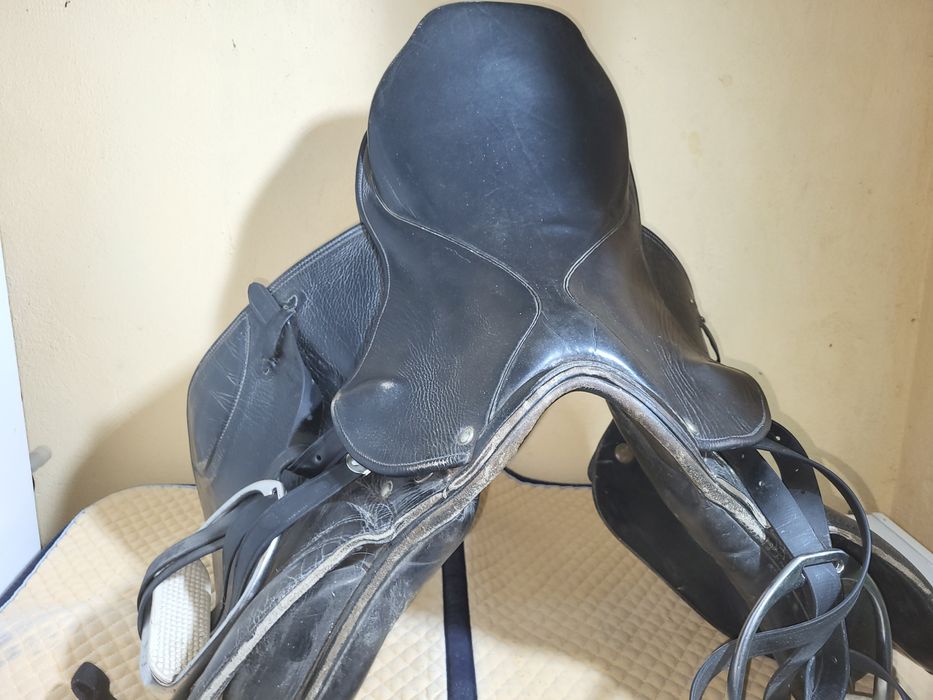 Șei echitație, calarie