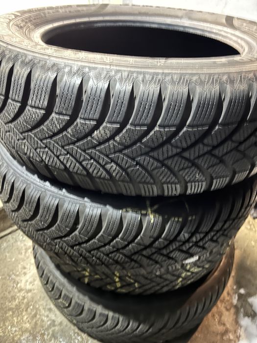 185 65 15 Semperit hankok iarna 2022