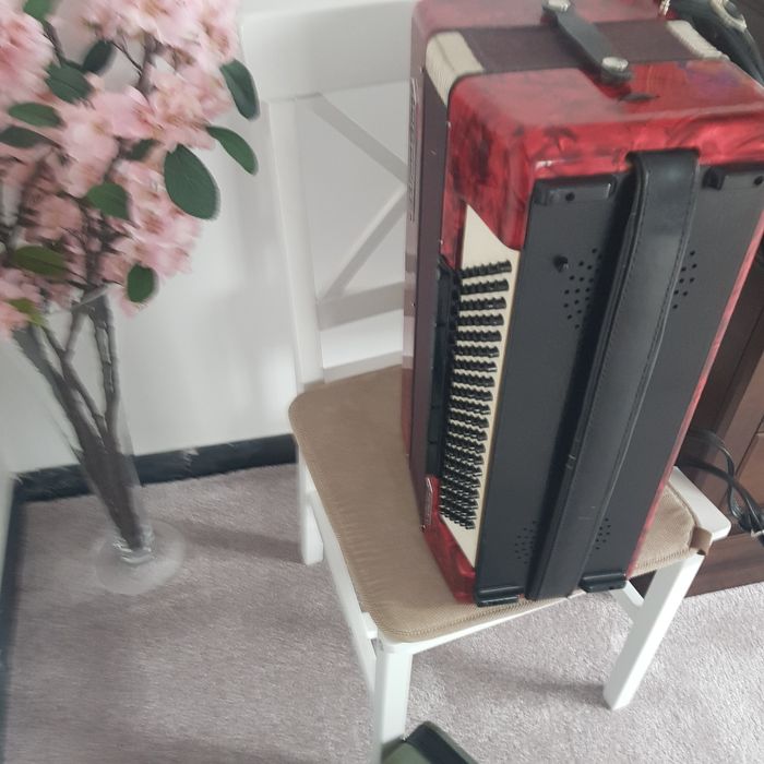 Acordeon Weltmeister Stela 120 de basi