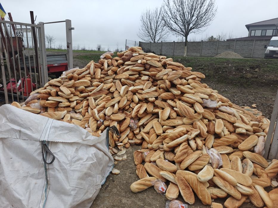 Pâine uscată de vanzare