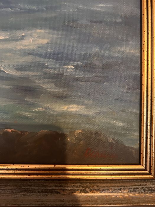 Tablou pictura in ulei cu semnatura