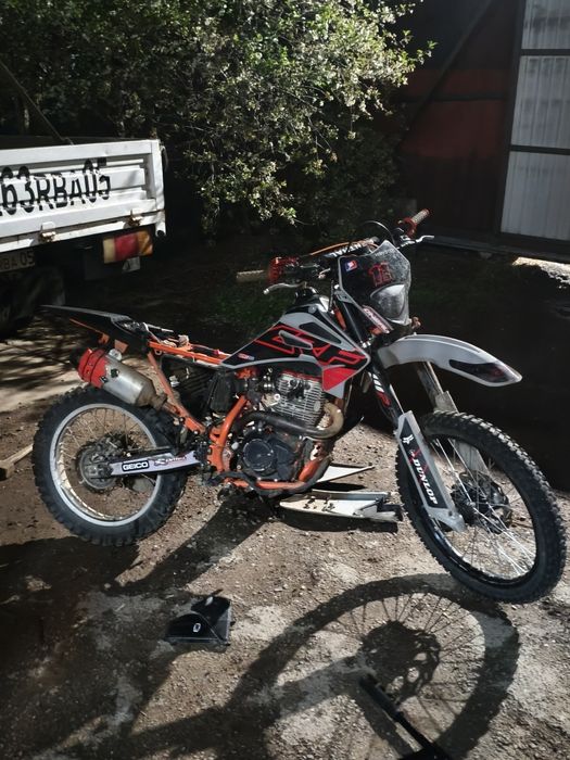 progasi palima 300 на 4 клопе