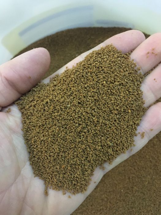 Hrana granular tetra