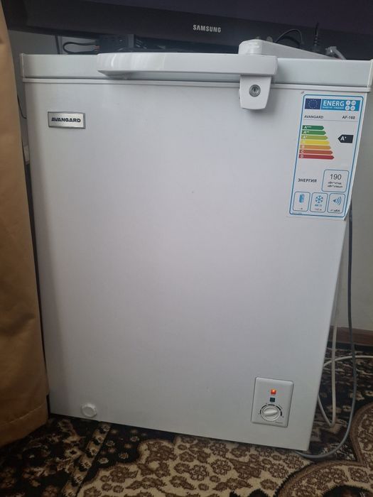 Морозильник, диван,  телевизор