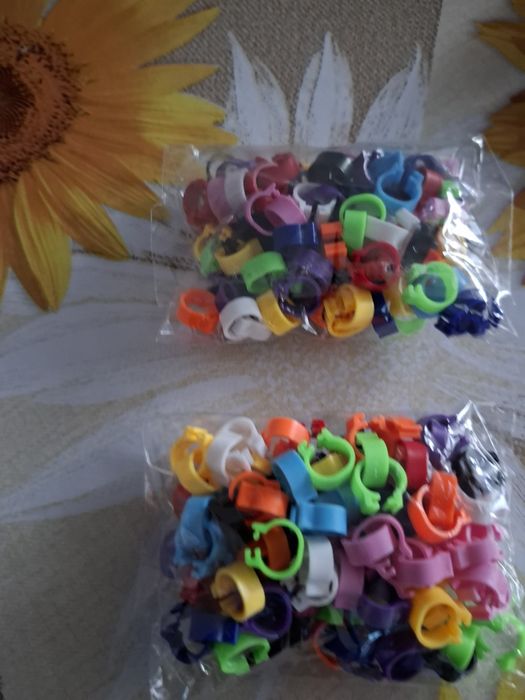 Пръстени за гълъби, щракалки 8мм