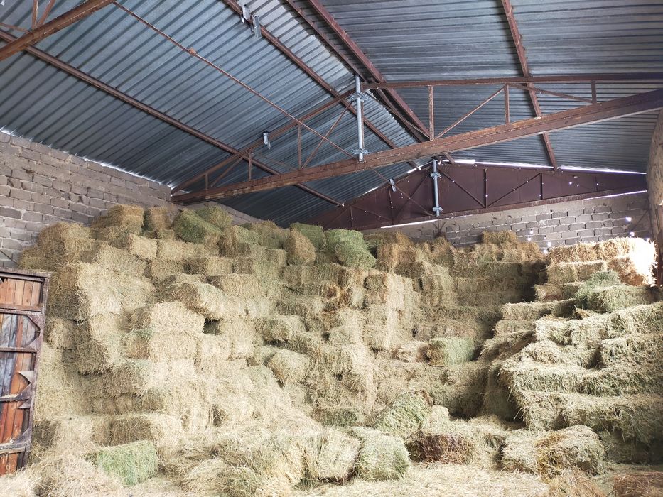 Жоңышқа пресс сатылады