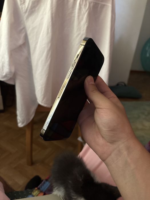 Iphone 12 pro max 256