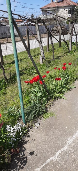 Продава се къща в град Тутракан