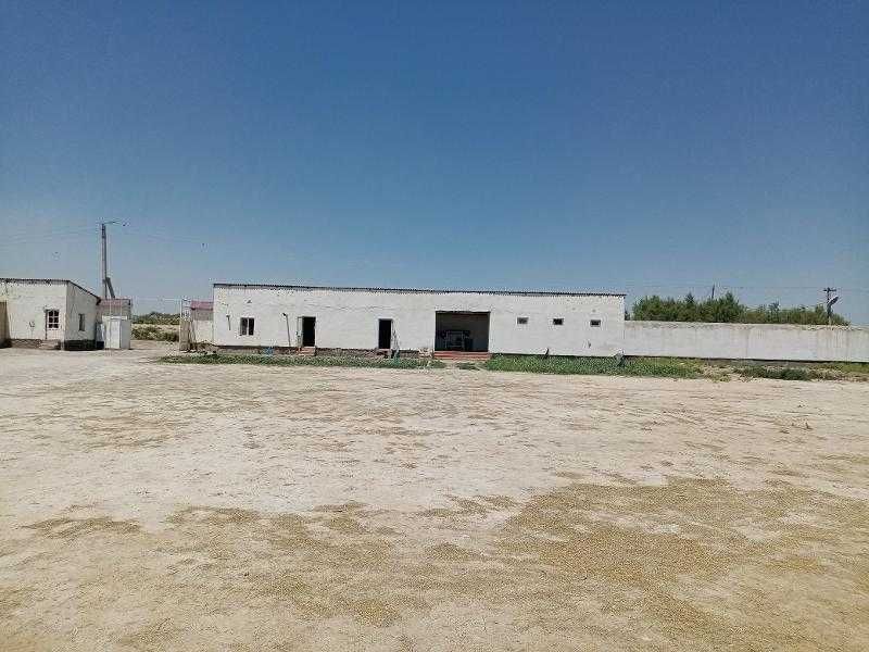 Molxona, sut va go`sht ishlab chiqarish majmuasi