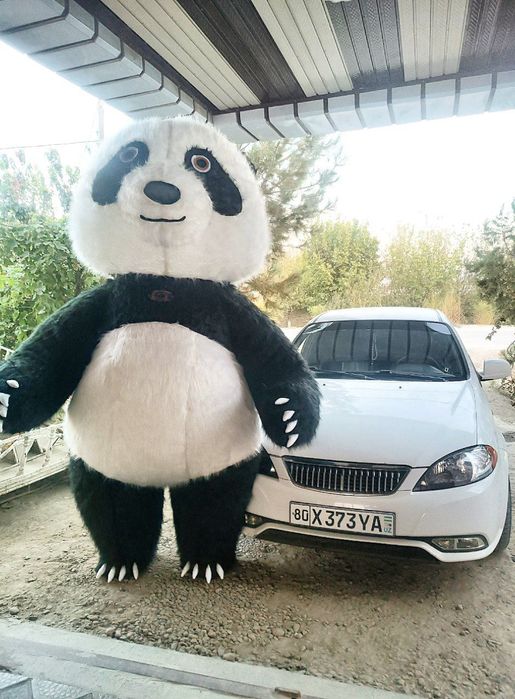 Теддий айиқ ва панда сотилади