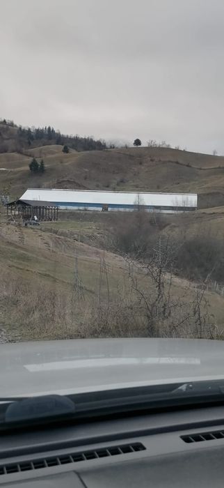 Inchiriez sau vand hala metalica