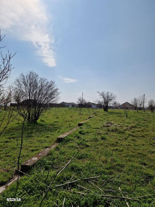 Ferma de vanzare 8 ha – Bals, judetul Olt