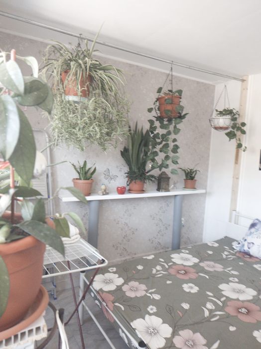 Vând apartament doua camere