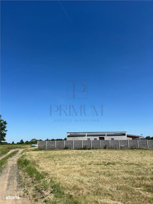 Teren- Mosnita Noua- Doua Fronturi Stradale