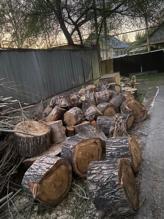 Дрова в мкр. Шанырак