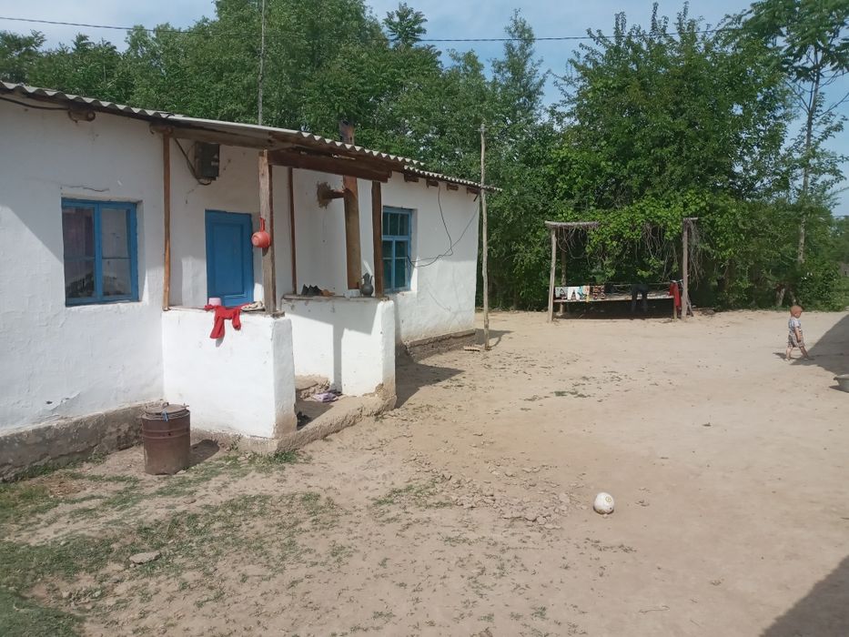 Boka tumani МФИ дехқончилик чорвочиликка қулаи  жои