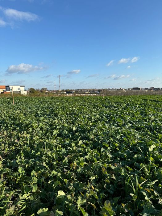 teren intravilan de vânzare – agigea, constanța – 500 mp