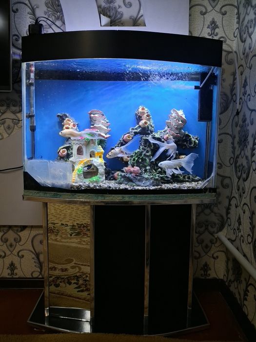 Akvarium 100l barcha jihoz va baliqlari bilan