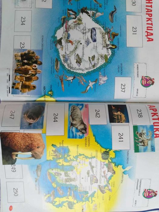 Колекционерски Албуми за стикери Уоли