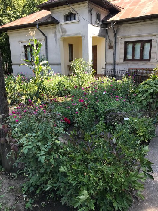 De vanzare casa plus teren