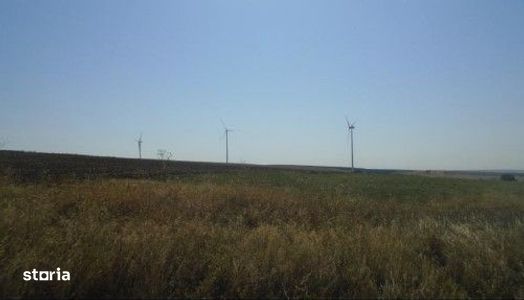 Teren extravilan Varlezi, cota parte 1/4, ID: R2730271