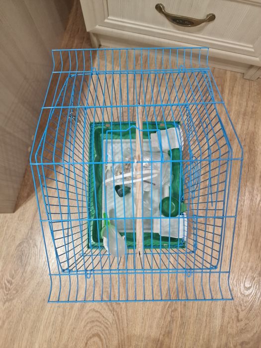 Новая птичея клетка