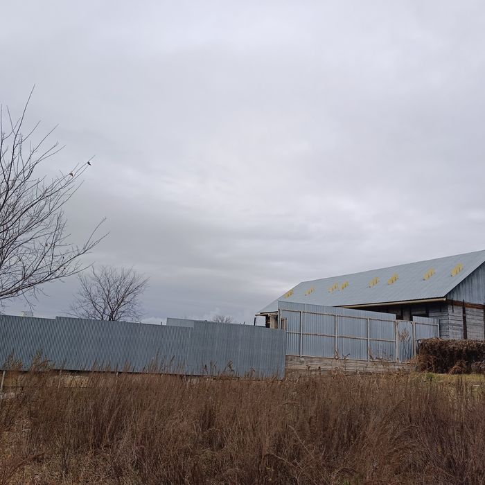 Продам дом  с мини фермой