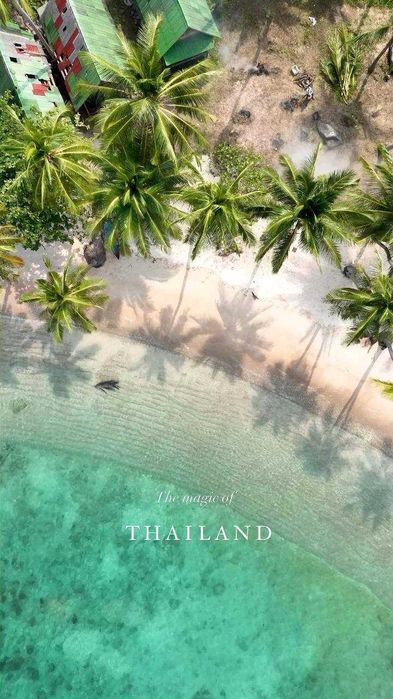 SHAMS TOUR предлагает Вам дешевые авиабилеты и тур пакетов со скидкой