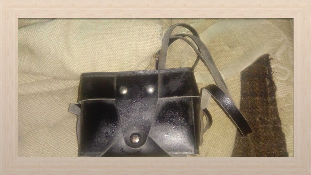 фотоапарат лентов