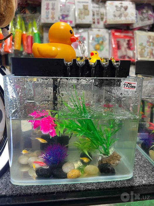 Dekorativniy akvarium