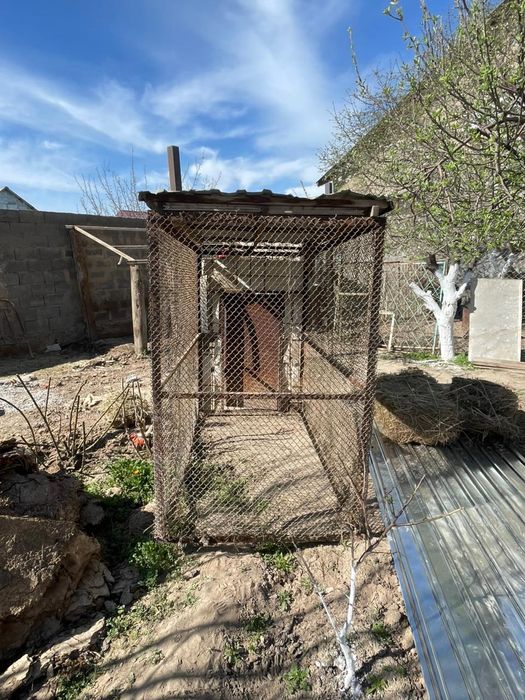 Валер для собак                           .