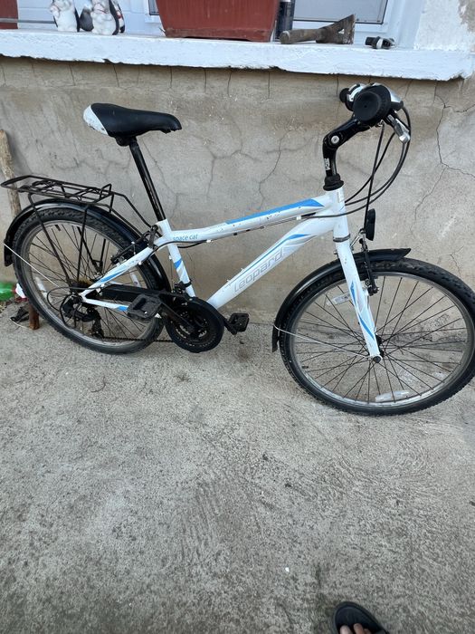 Коело леопард 24